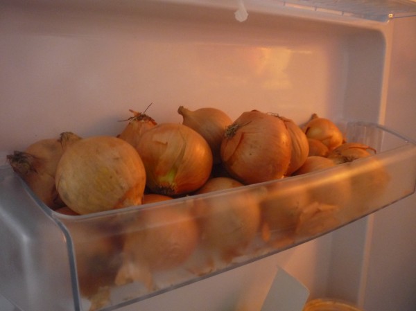 Moje zásoba cibule.