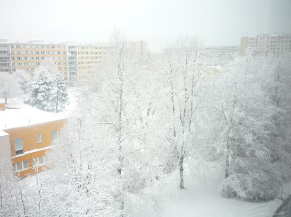 Jak to u nás vypadá